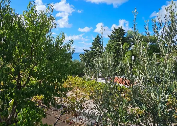 Camping Mobilna Kucica Tara, Uvala Slanica, *