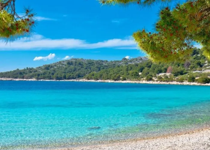 Mobilna Kucica Tara, Uvala Slanica, Муртер